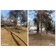 Safe-Again-Storm-Debris-Cleanup-In-Oxford-MS 3